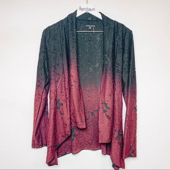 Alberto Makali Sweaters - ✨2/$20 Alberto Makali Maroon/Black Cardigan | XS